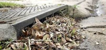 Leaf clogged storm drain