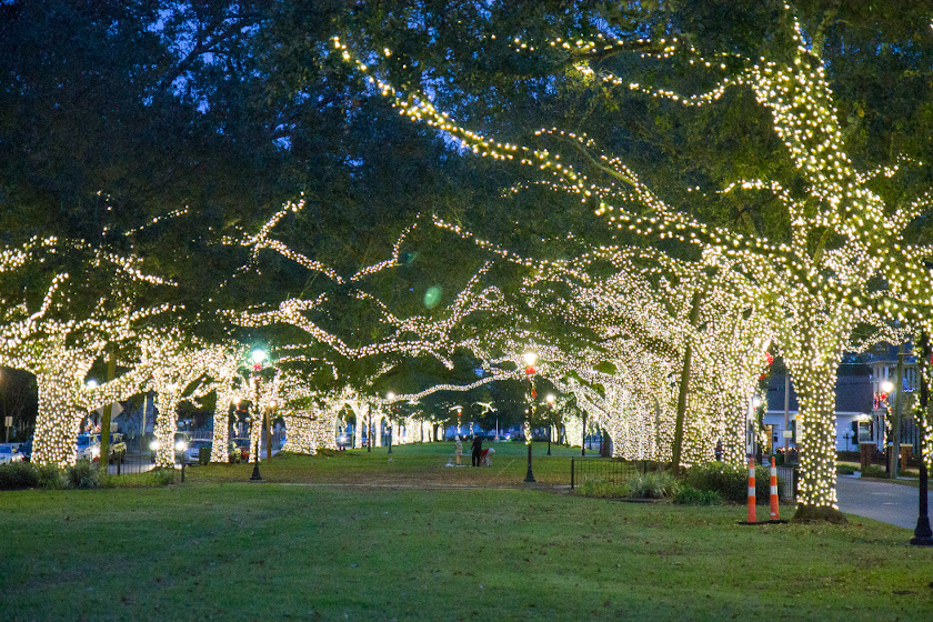 Christmas Lights on Huey Long Avenue