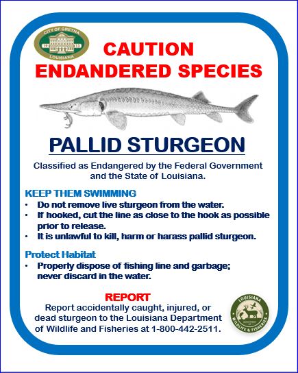Pallid Sturgeon Sign